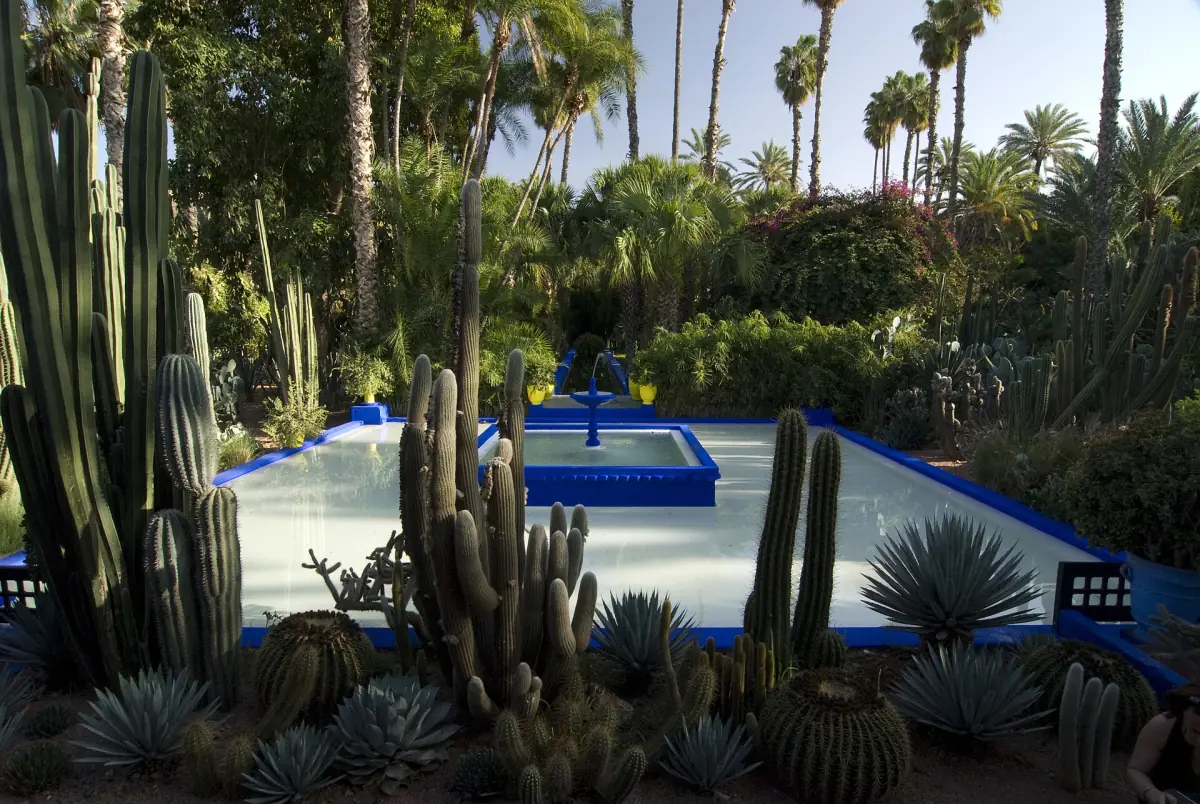 Kakteen an einem Becken im Jardin Majorelle
