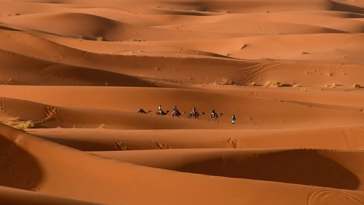 Eine Kamelkarawane in den Dünen bei Merzouga