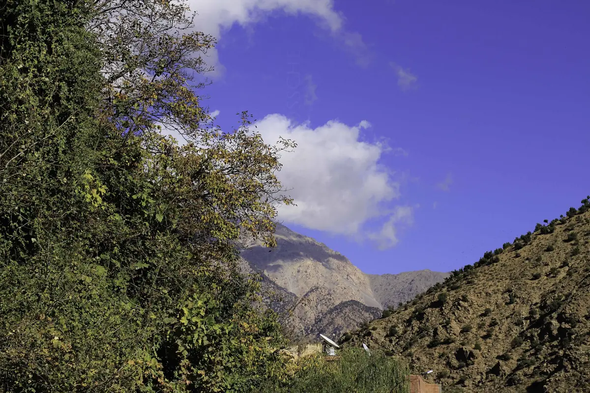 Bäume und Berge im Ourika-Tal